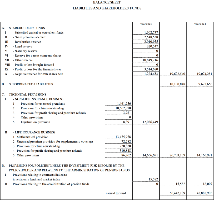 Parent Company’s Balance Sheet and Income Statement (13)