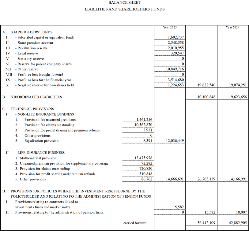 Parent Company’s Balance Sheet and Income Statement (13)
