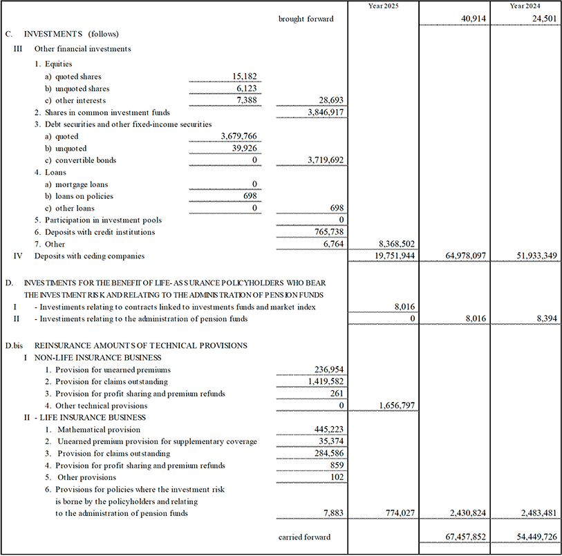 Parent Company’s Balance Sheet and Income Statement (13)