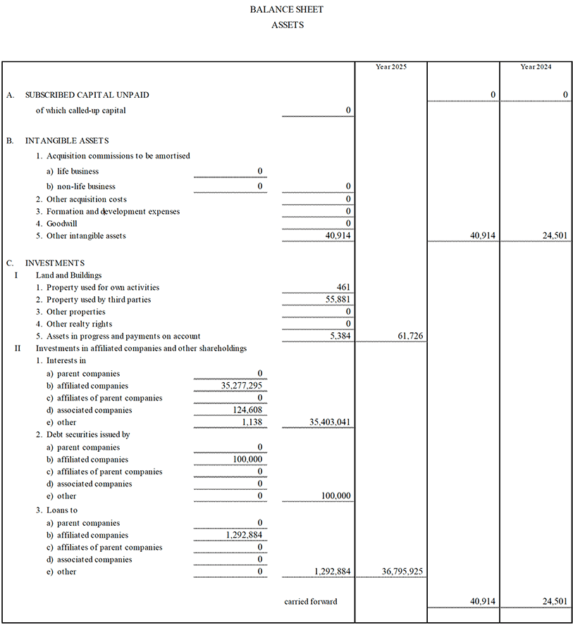 Parent Company’s Balance Sheet and Income Statement (13)