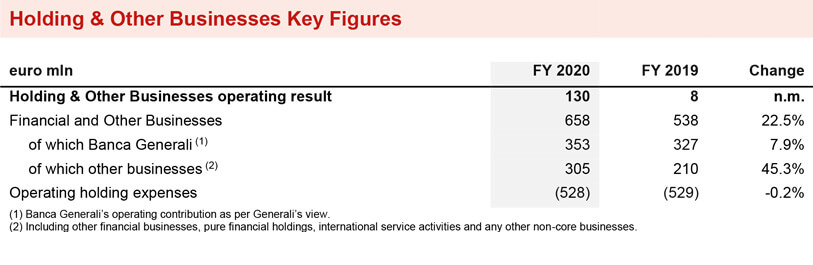 HOLDING AND OTHER BUSINESSES SEGMENT