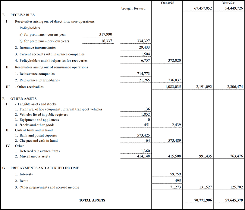 Parent Company’s Balance Sheet and Income Statement (13)