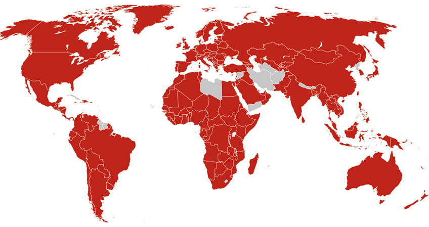 Global Reach, Local Insights