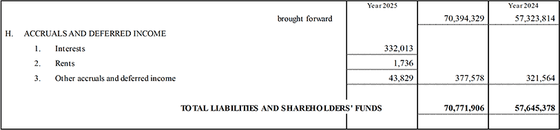 Parent Company’s Balance Sheet and Income Statement (13)
