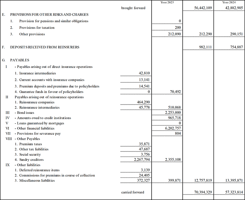 Parent Company’s Balance Sheet and Income Statement (13)
